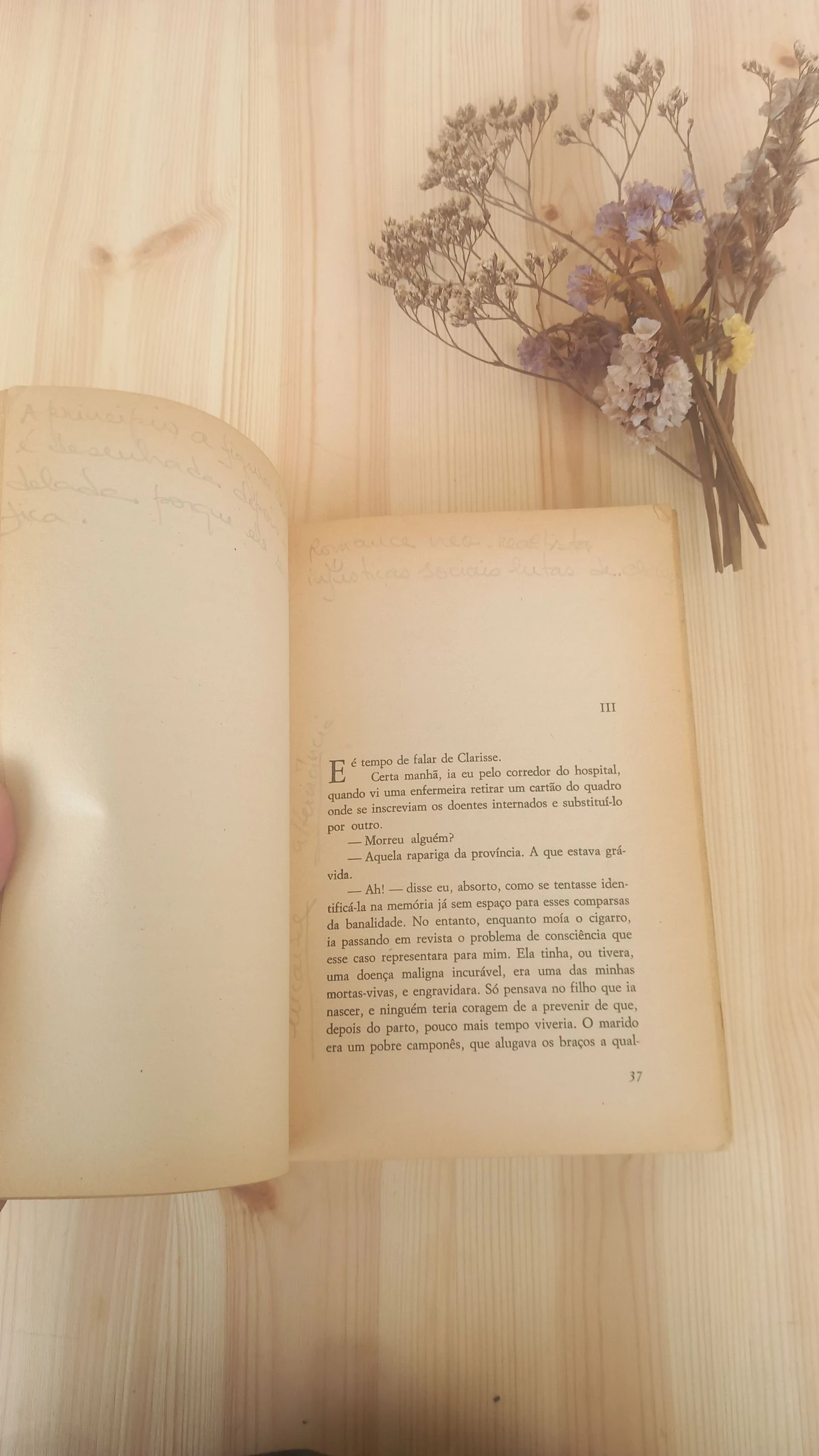 Domingo à Tarde, Fernando Namora | Editora: Livraria Bertrand – photo 4